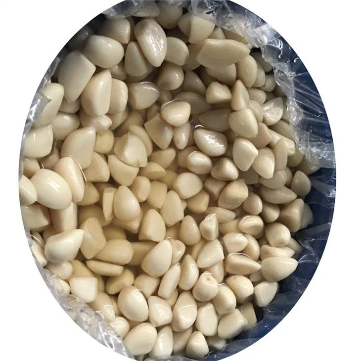 Normal white garlic in salted water in barrel