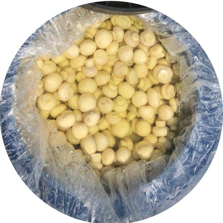 Whole white mushroom in salted water in plastic drums