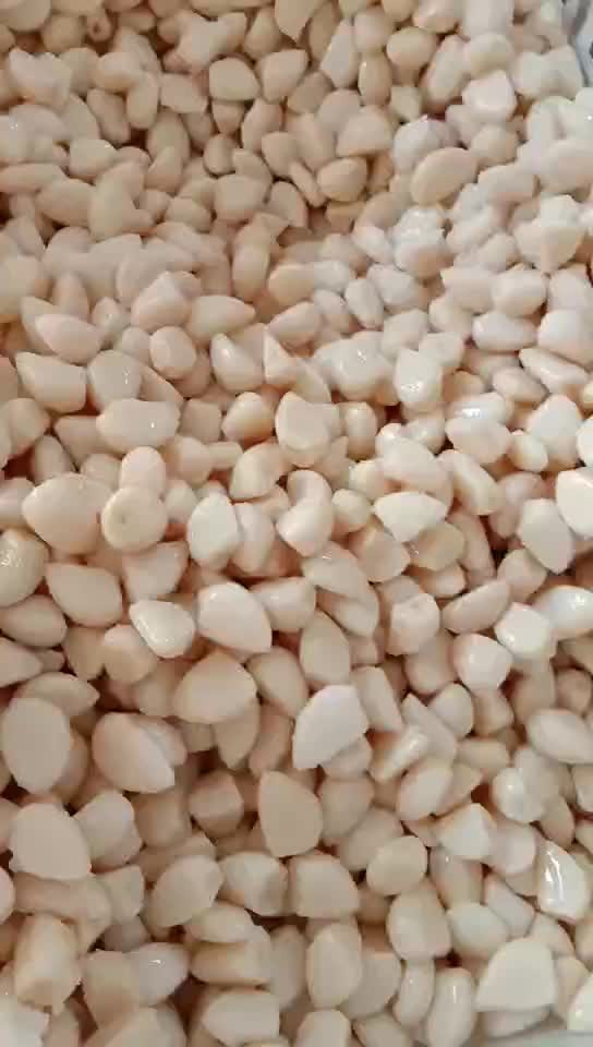 High quality White garlic cloves in brine in drums