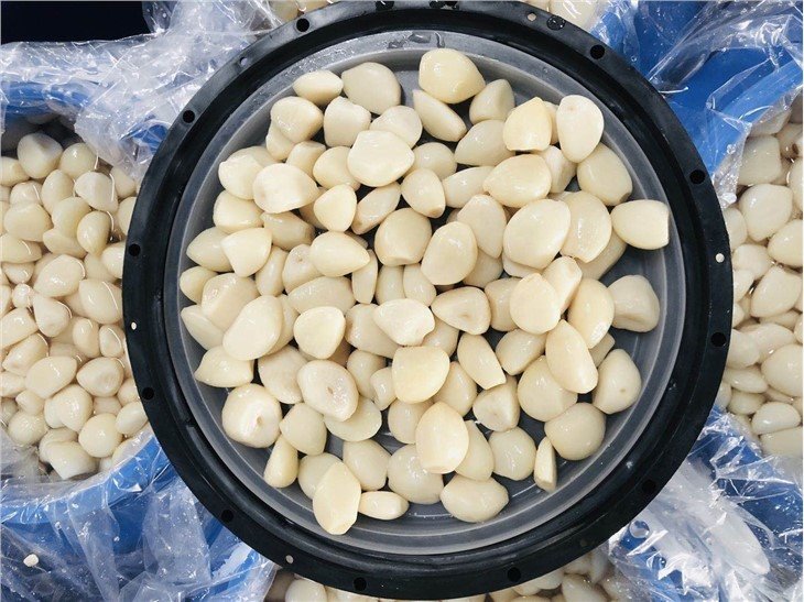 L peeled white garlic in drums