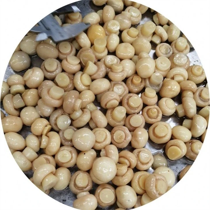 Champignon in brine in drums