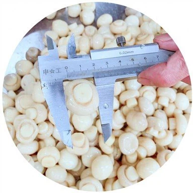 Cijela gljiva u salamuri u bačvi