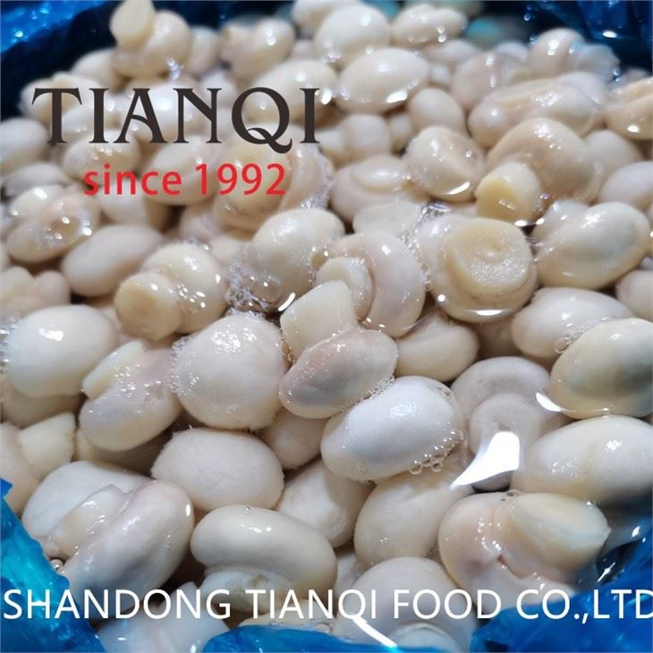 Salted Mushroom in Brine in Plastic Drums