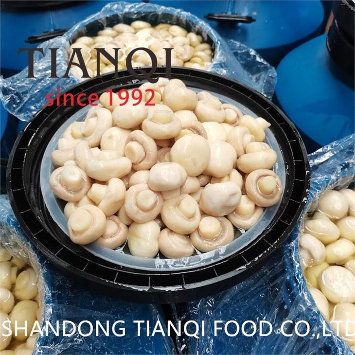 Drum Packing BRINED WHITE BUTTON MUSHROOM