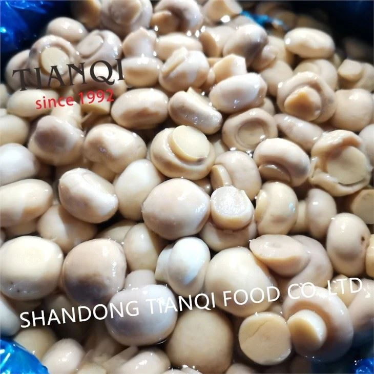 Preserved champignon mushroom in vinegar in drums