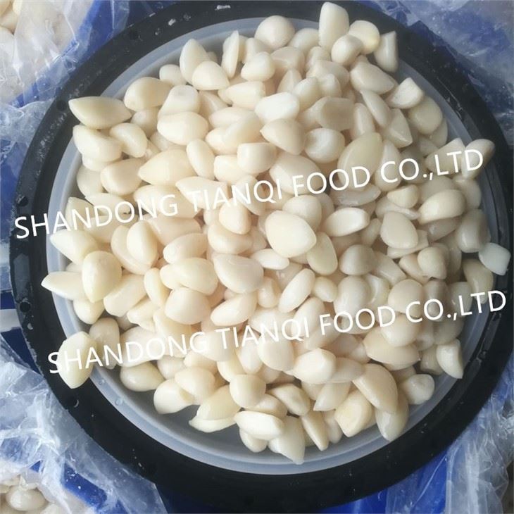 Peeled White Garlic Cloves in Salted Water in Drums
