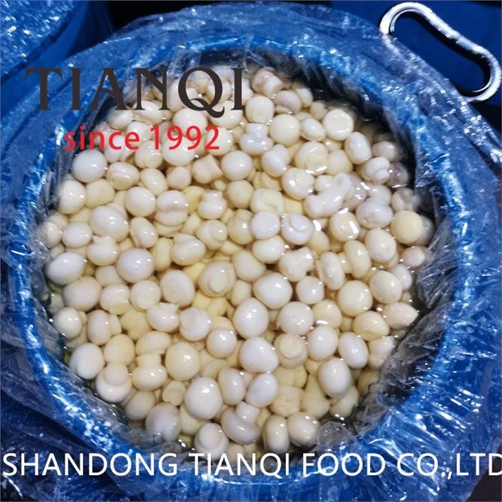 Pickled champignon mushroom in drums