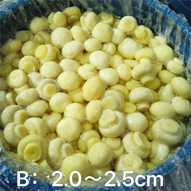 Whole mushroom in SO2 in plastic drums