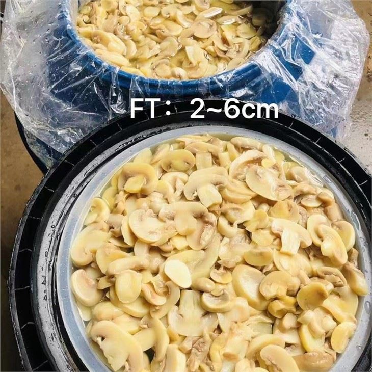 Brined whole white mushroom packed in drums